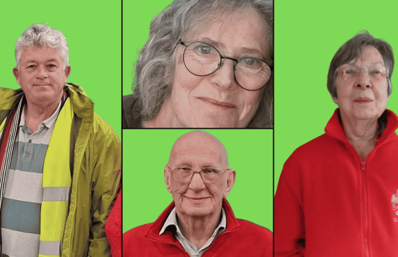 Community volunteers showcase lights up The Forum